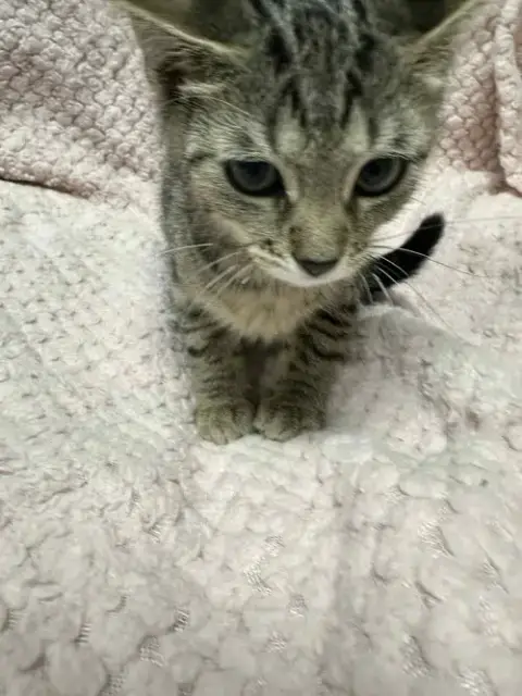 Happy photo 5