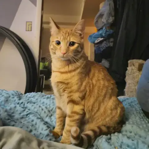 Bob