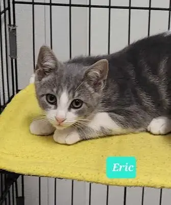Eric photo 2