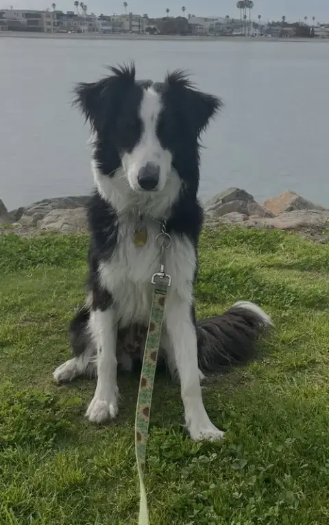 Ellie photo 2