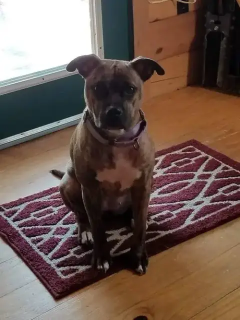 Nala photo 4