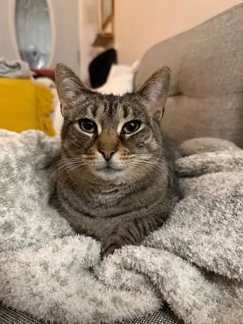 Sophie