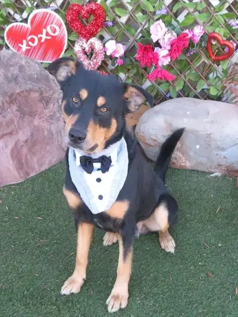 Bruno
