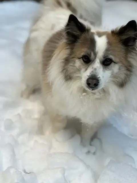 Nora