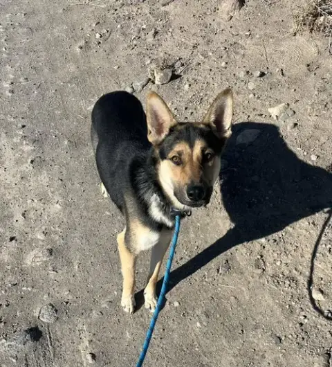 Finn photo 2