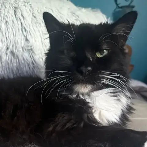 Madeline