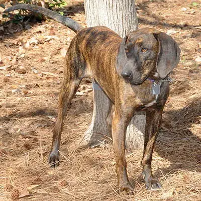 Sally photo 5