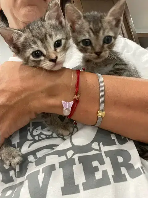 Courtesy Post: Princess & Billy