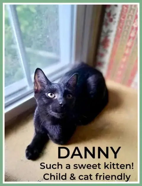Danny