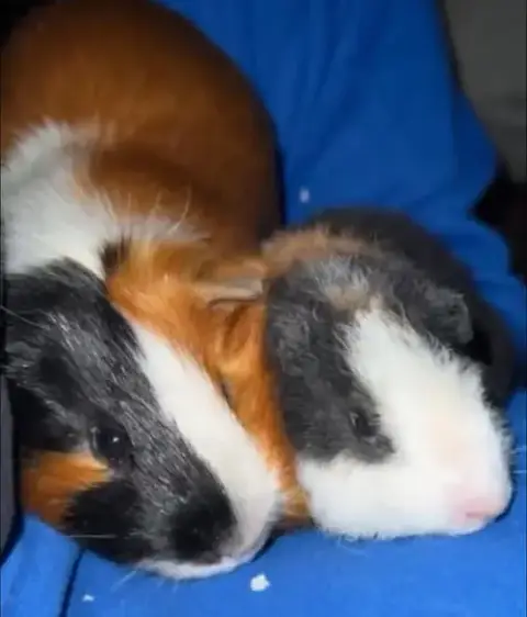 George And Teddy photo 2