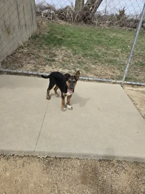 Ruby