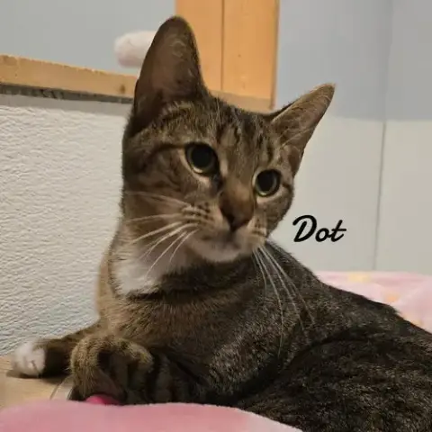 Spot & Dot photo 3