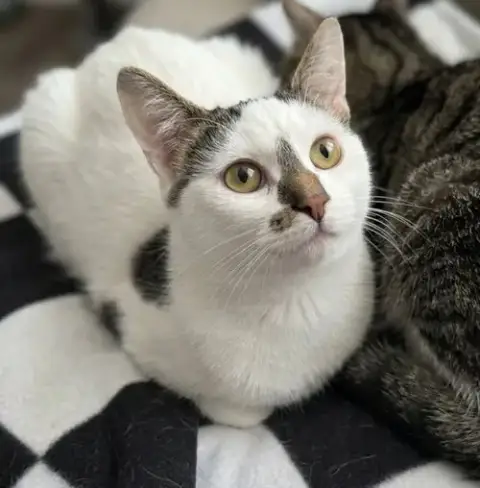 Alpha photo 2
