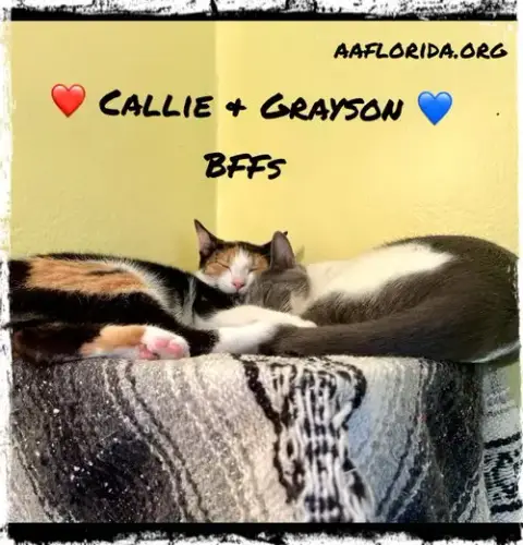 Callie & Grayson