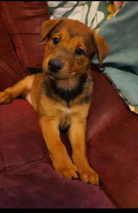 Ruby