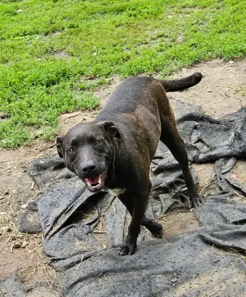 Max photo 2
