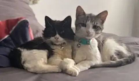 Cletus And Myrtle