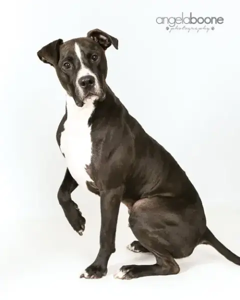 Champ photo 3