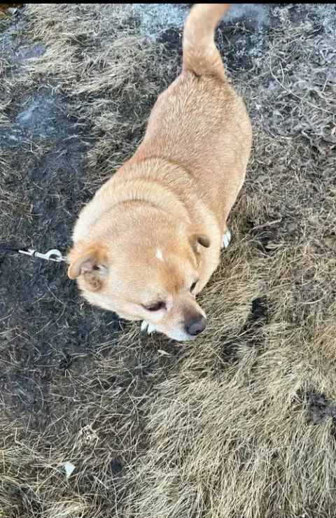 Pedro photo 5