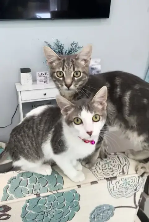 Hansel & Grettel