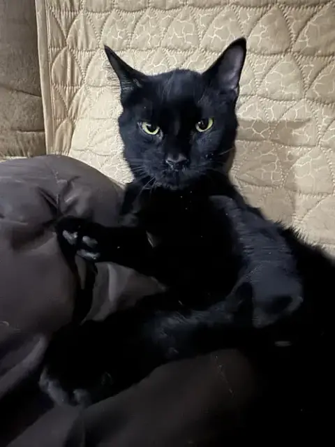 Miles photo 2