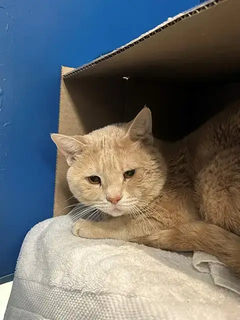 Casper