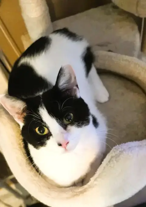 Freya photo 3
