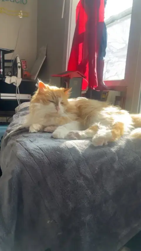 Marigold-No Longer Accepting Apps