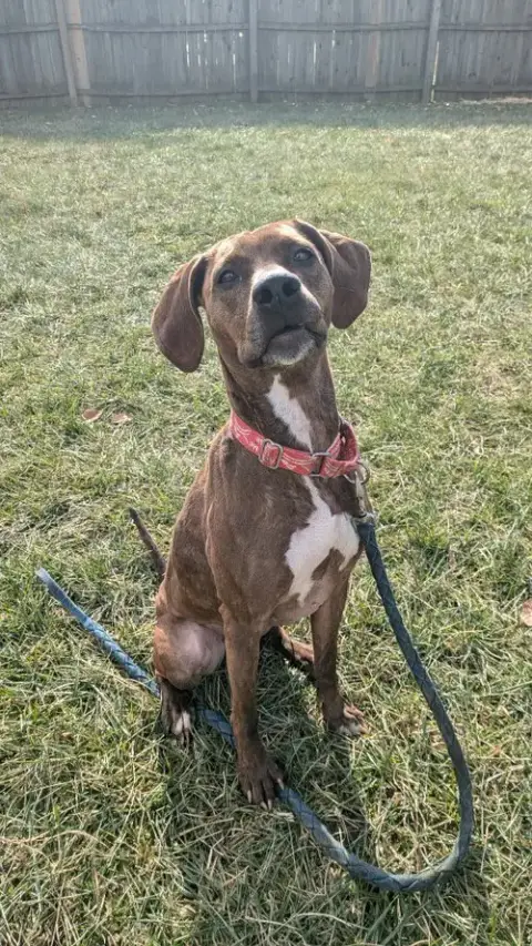 Maggie