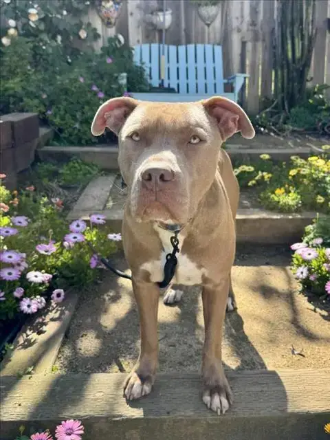 El Roy