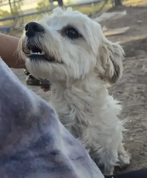 **Lola photo 2