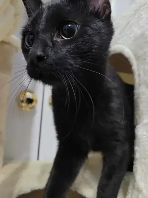 Salem photo 2