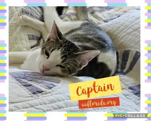 Carlos & Captain photo 3