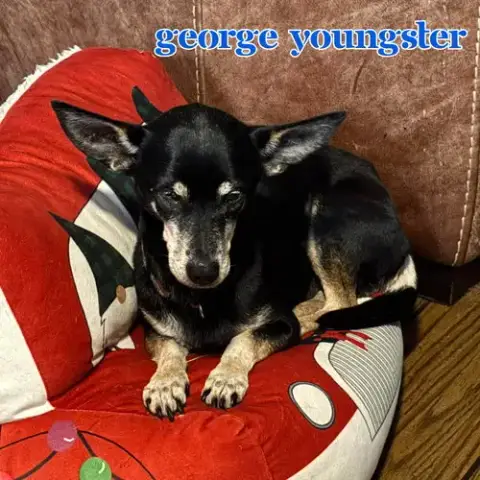George Youngster photo 2