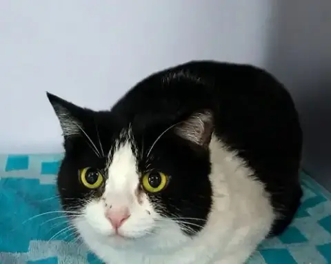 Luna