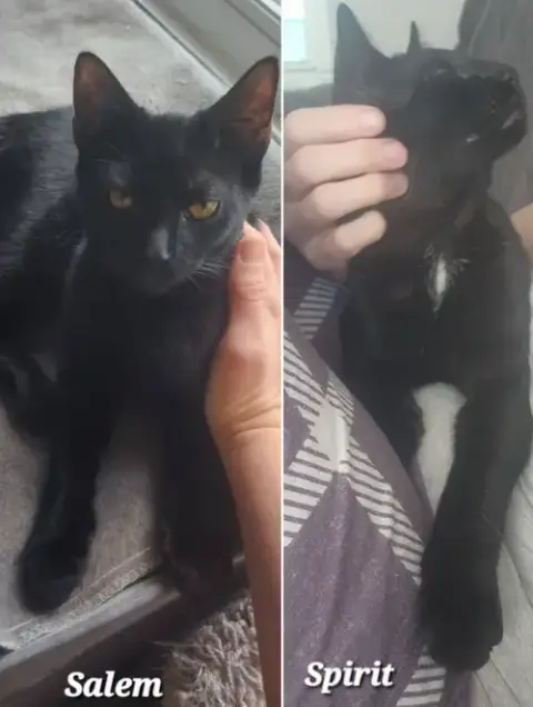 Bonded Pair: Salem & Spirit photo 2