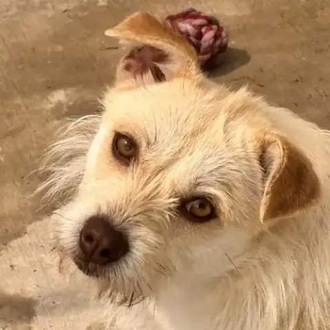 Ella