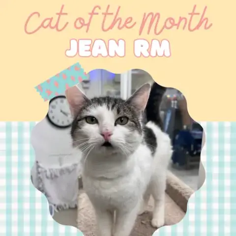 Jean Rm