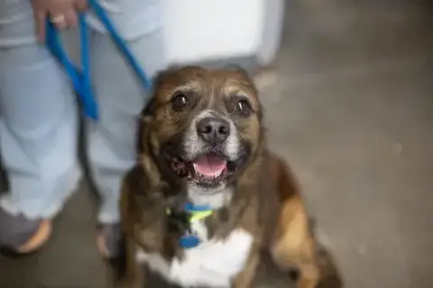 Oscar