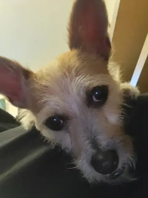 Daxton photo 2