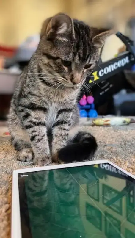 Lucky photo 3