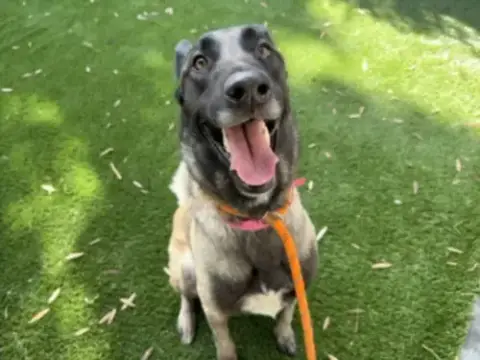 Maggie