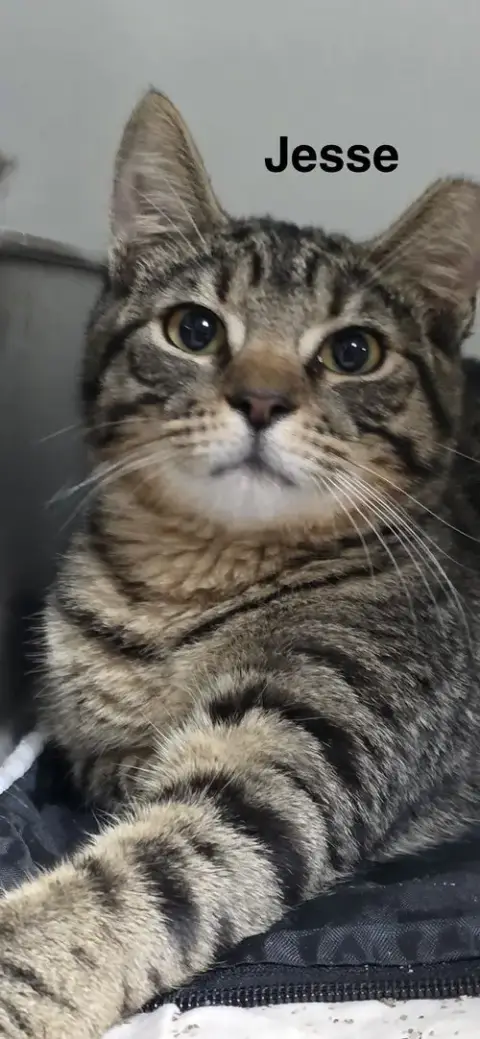 Jesse 8.8.25 photo 2