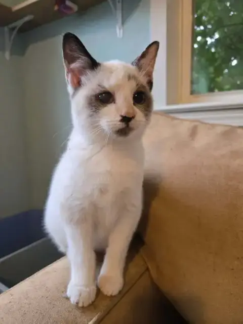 Chloe
