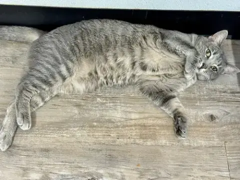 Molly