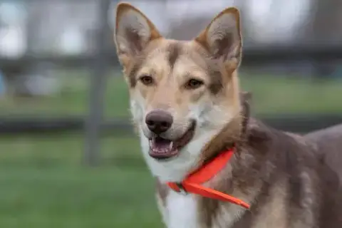 Gianna * She'S Gorgeous! * photo 3