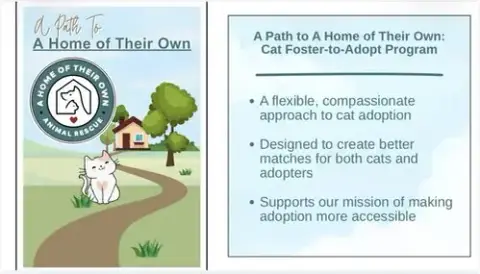 Foster-To-Adopt photo 2