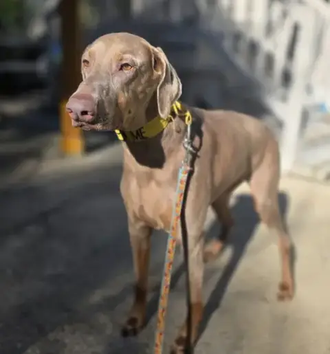 Marley Mae photo 3