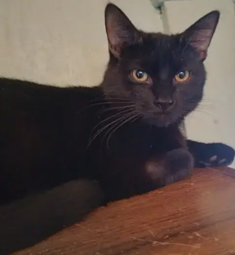 Niles