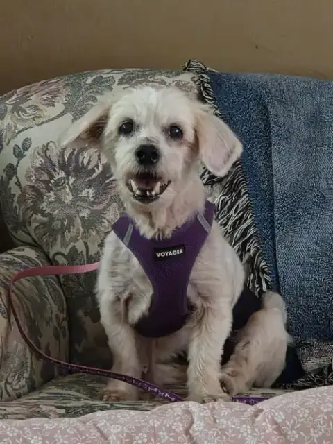 Crouton